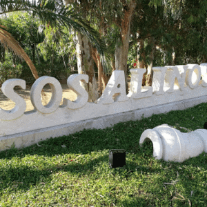 Residence Sos Alinos Esterni (1)